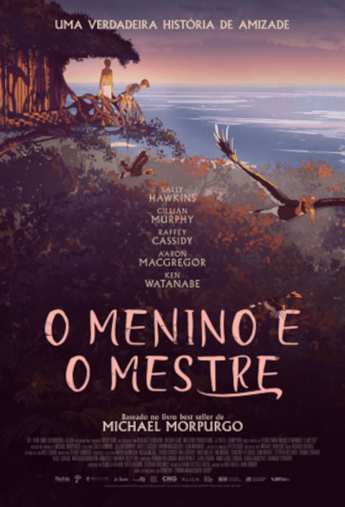 Cartaz filme O Menino e o Mestre