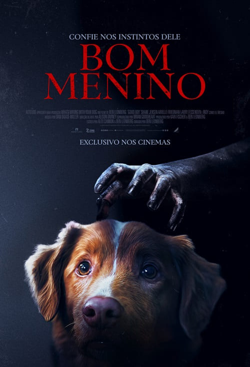 Cartaz filme Bom Menino
