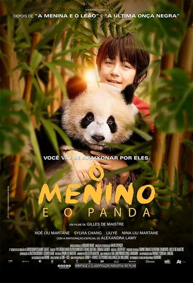 Cartaz filme O Menino E O Panda