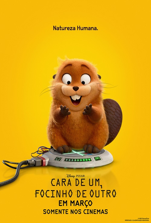 Cartaz filme Cara de um, Focinho de Outro