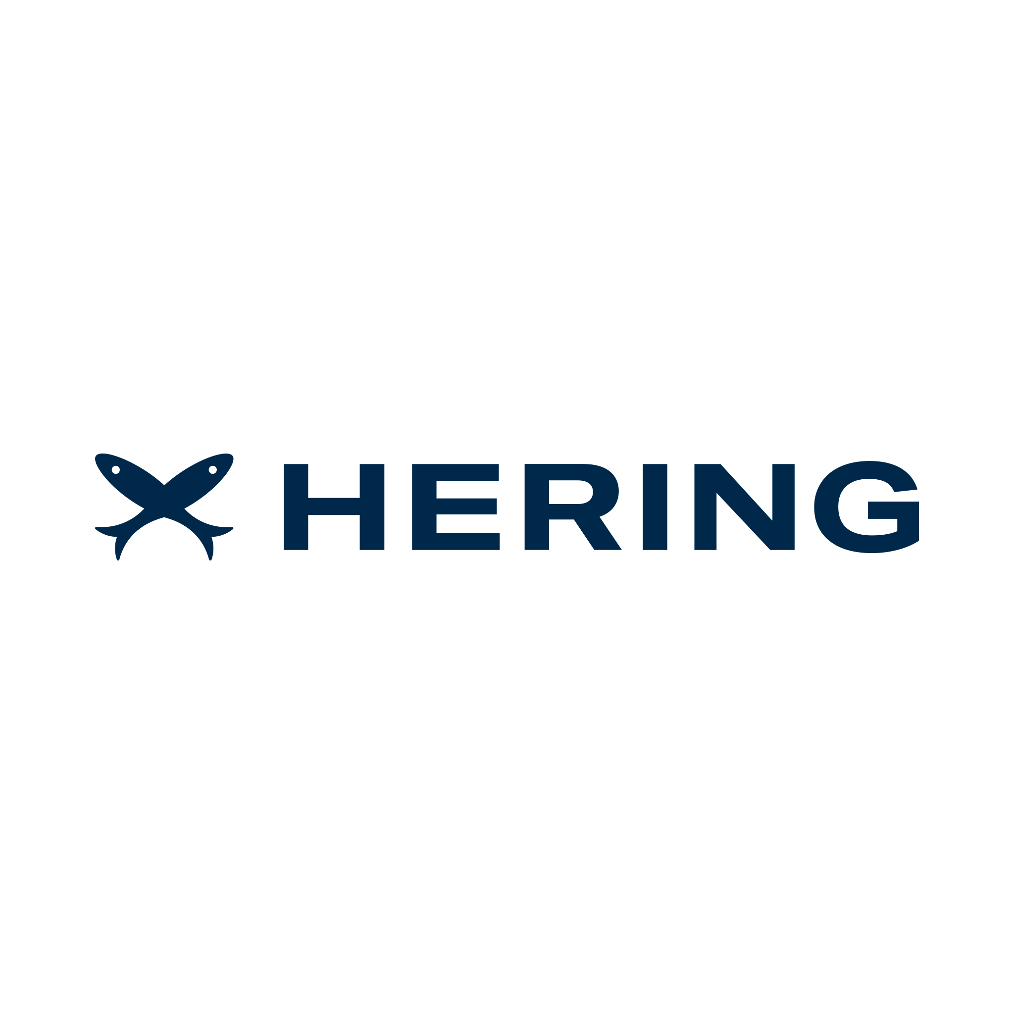 Logo Hering Store