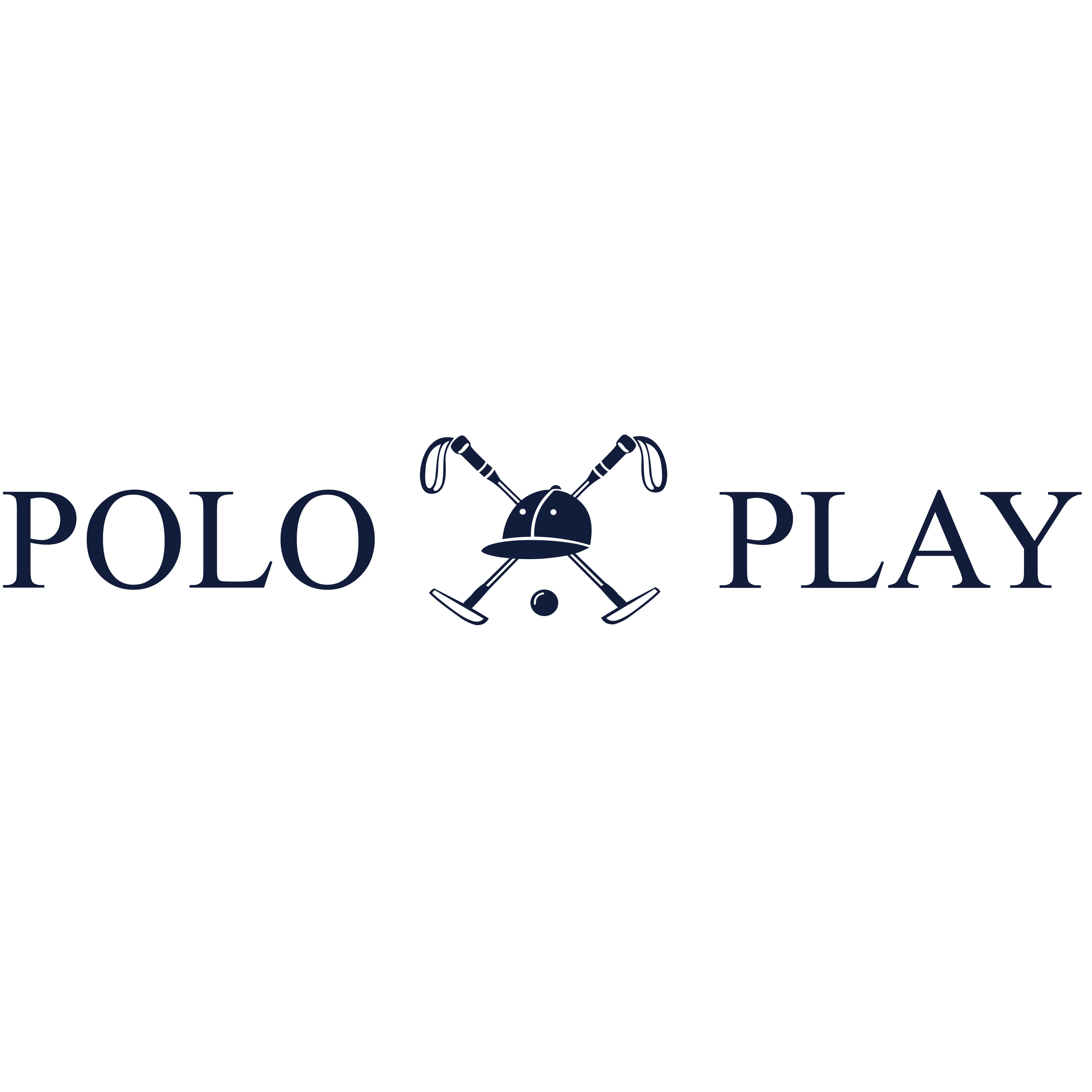 Logo POLO PLAY