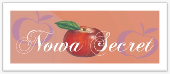 Logo Nowa secret