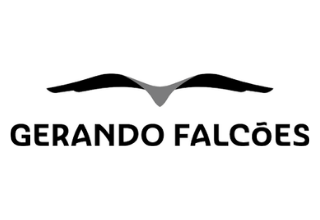 Gerando Falcões