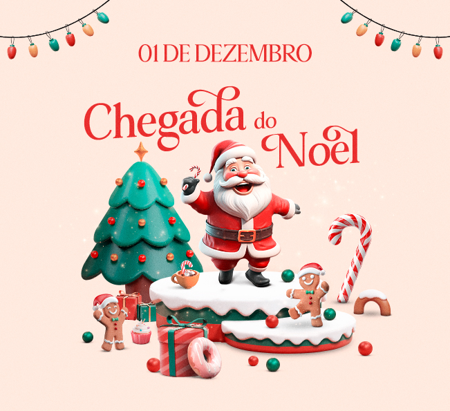 Chegada do Noel