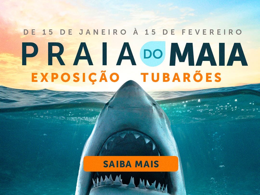 Exposição de Tubarões chega no Maia!