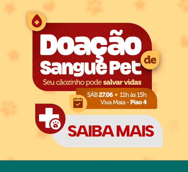 Seu cãozinho pode se tornar um grande herói