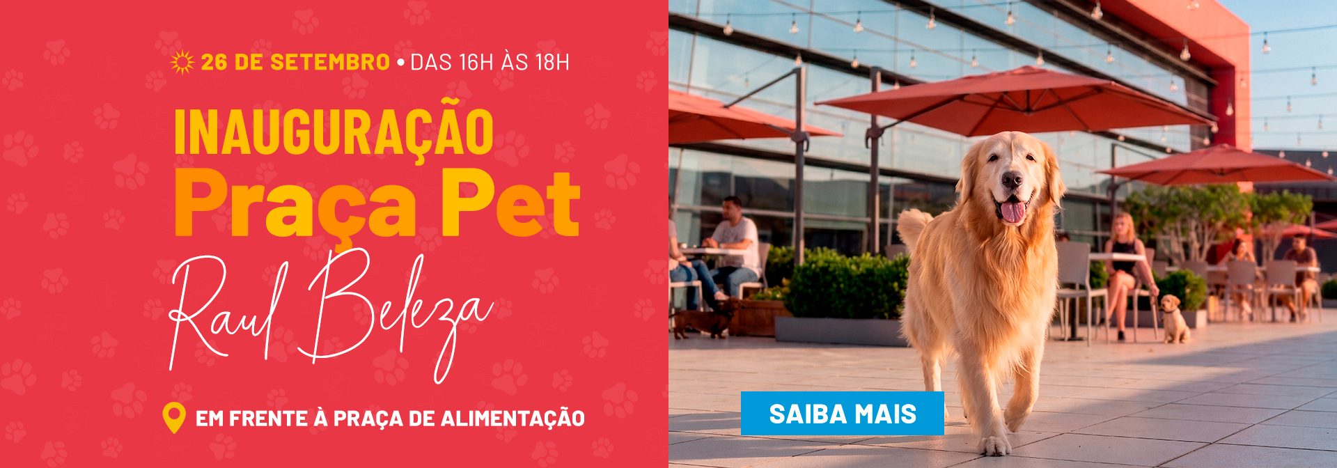 As melhores marcas nacionais e internacionais